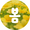 이유식, 유아식 <br> 할인해봄
